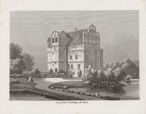 Illustration from the Book Nordic Pictures by Unknown Author and Published by Albert Bonnier (see, 1867)